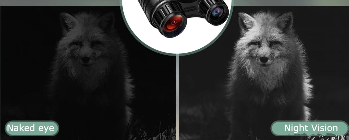 4K Night Vision Goggles 300 m (328 yd) – Bricodil BCD2845