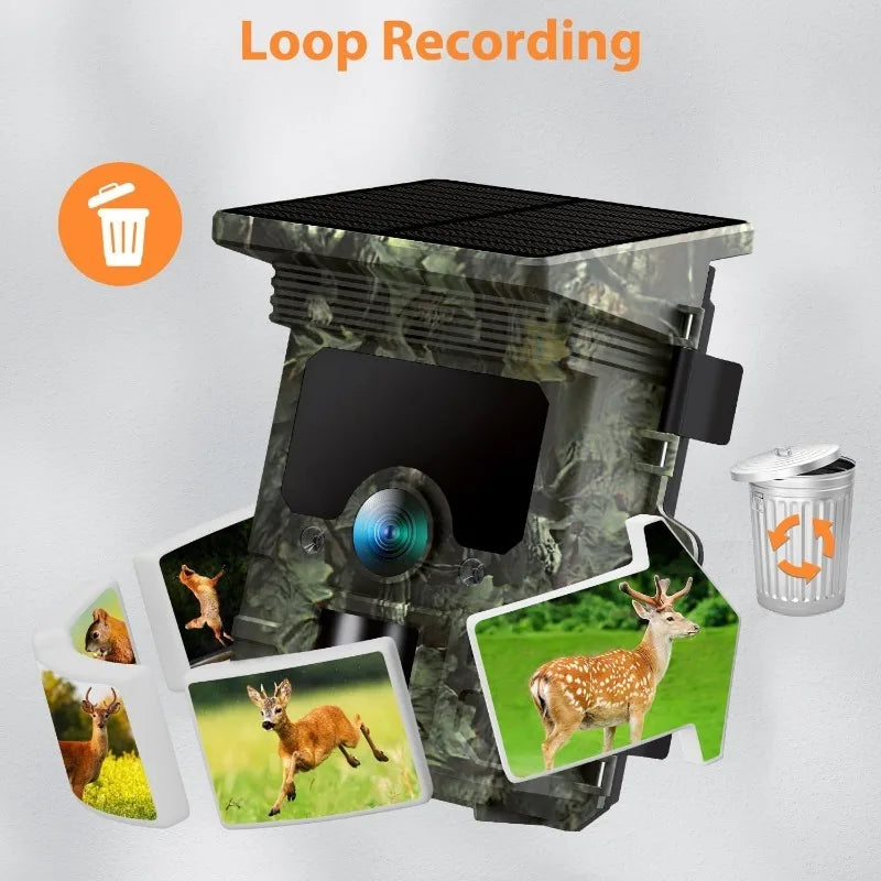4K Solar Trail Camera with Wi-Fi & Night Vision – Bricodil BCD4729