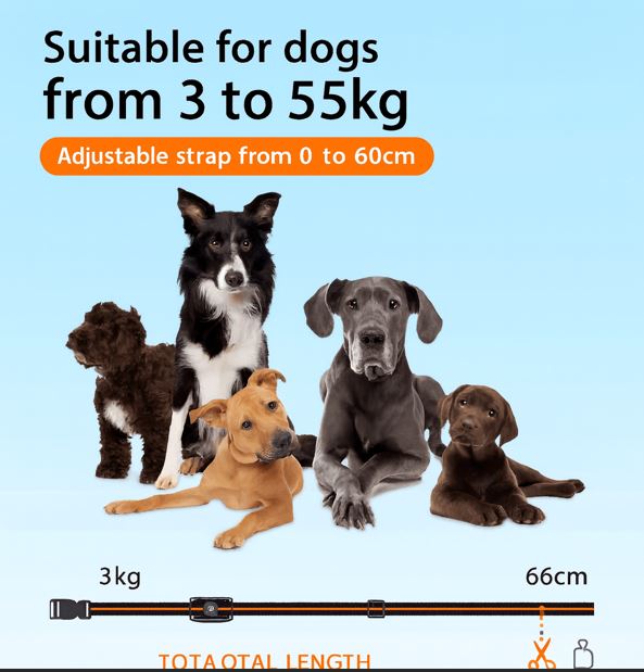 Bricodil Advanced Dog Training Collar – 2600m Remote | BCD7285