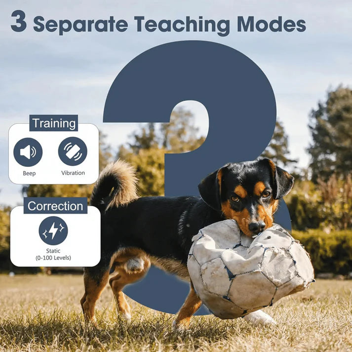 Trainix – Long Range Waterproof Dog Training Collar