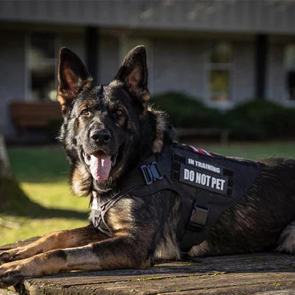 Bricegis™– Heavy-Duty Tactical Dog Harness with Handle