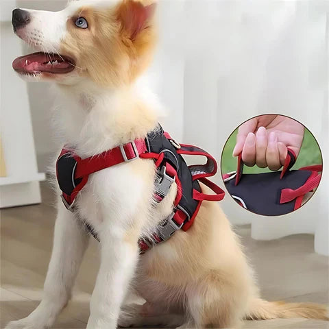 Stridex – Anti-Pull Reflective Dog Harness