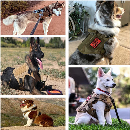 Bricegis™– Heavy-Duty Tactical Dog Harness with Handle