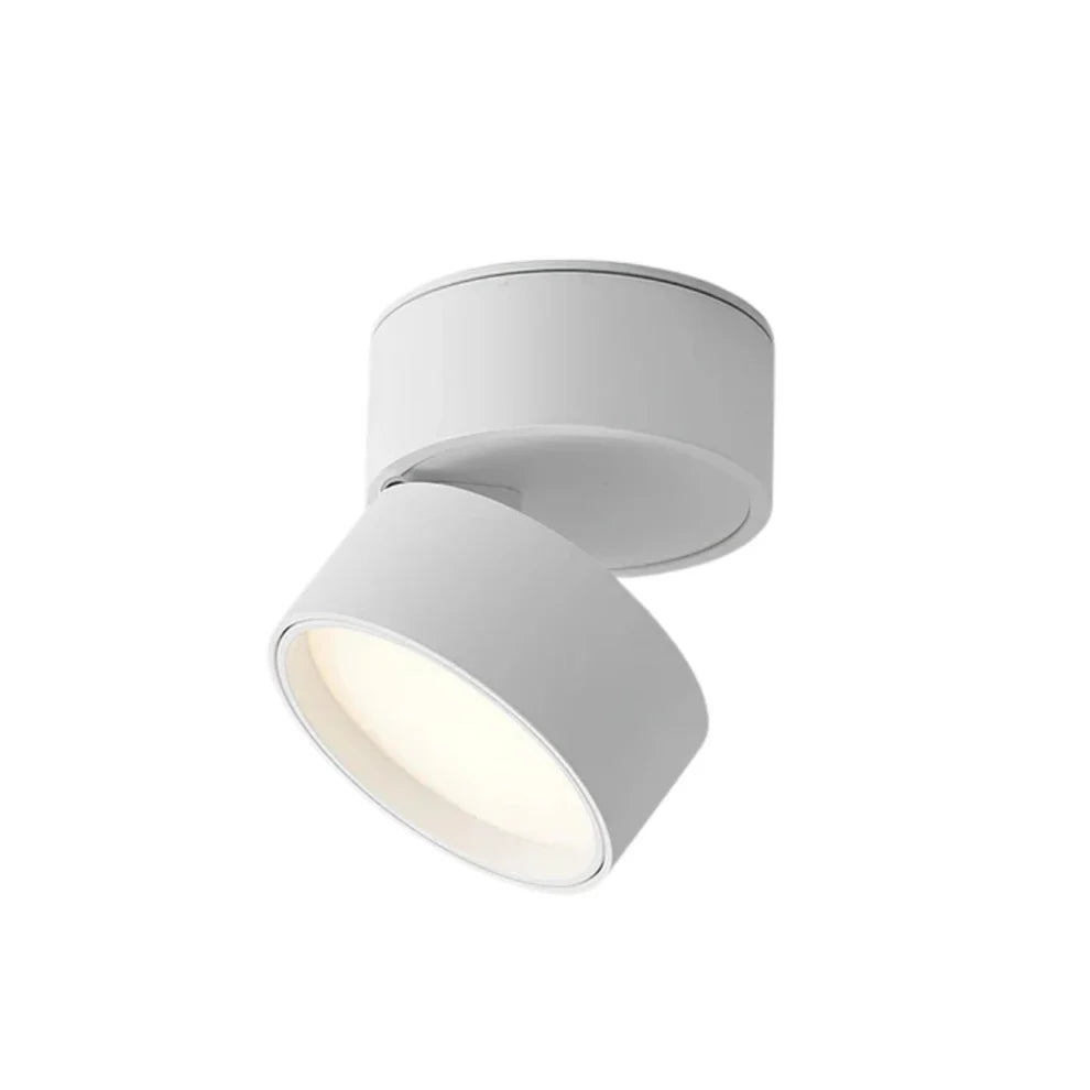 LumoFlex – Adjustable LED Ceiling Spotlight