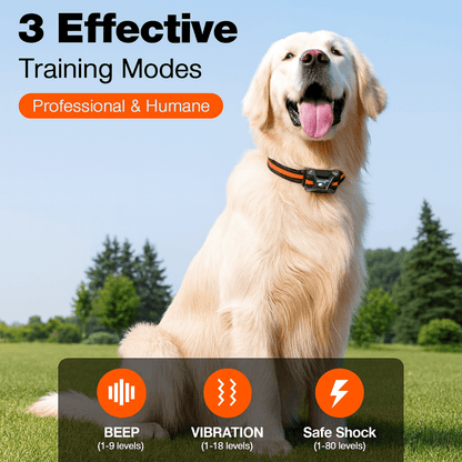 Bricodil Advanced Dog Training Collar – 2600m Remote | BCD7285
