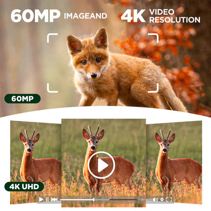 4K Solar-Powered Trail Camera with WiFi & Night Vision  –  Bricodil BCD7314
