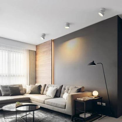 LumoFlex – Adjustable LED Ceiling Spotlight