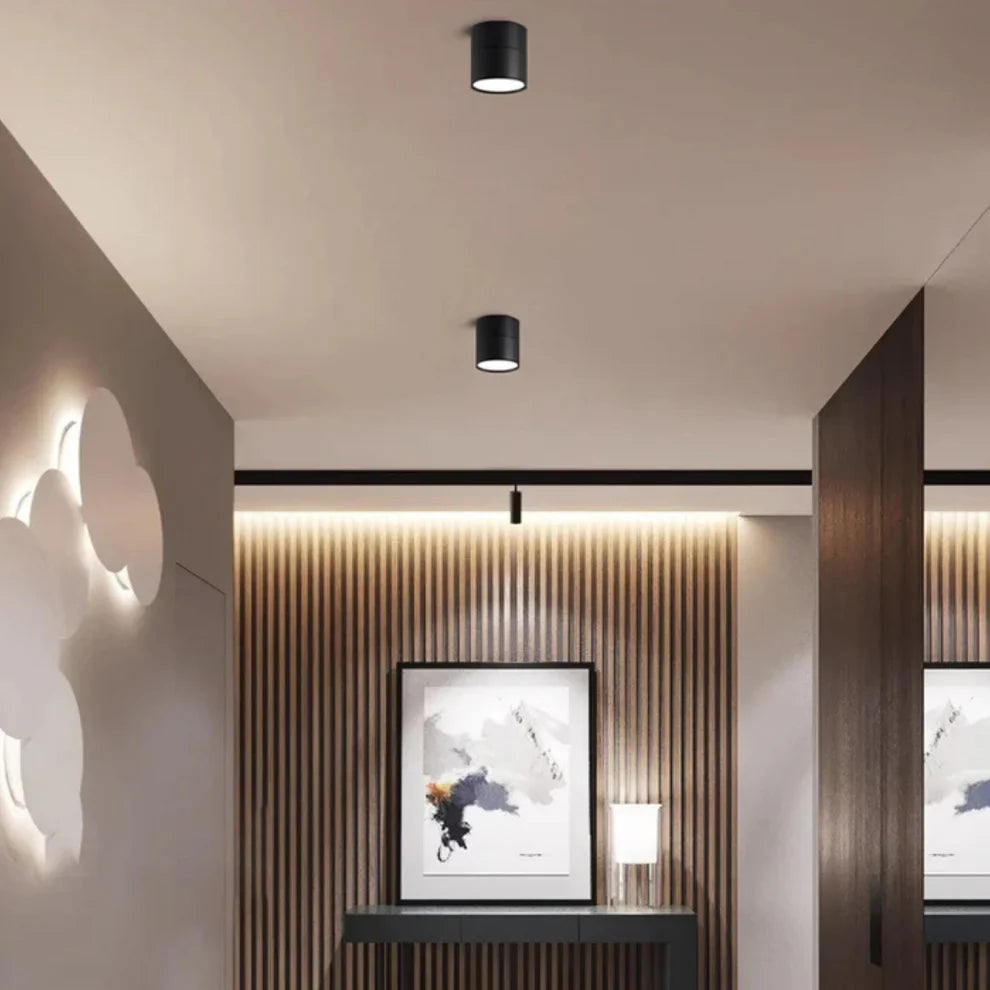LumoFlex – Adjustable LED Ceiling Spotlight