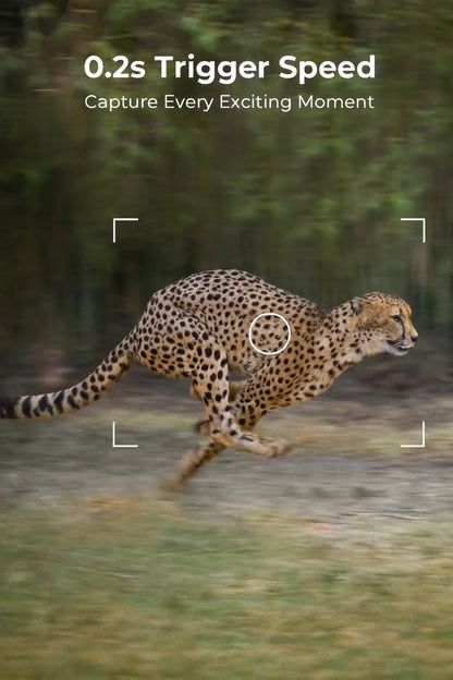 4G Solar Hunting Camera with 2K Video - Bricodil BCD4827