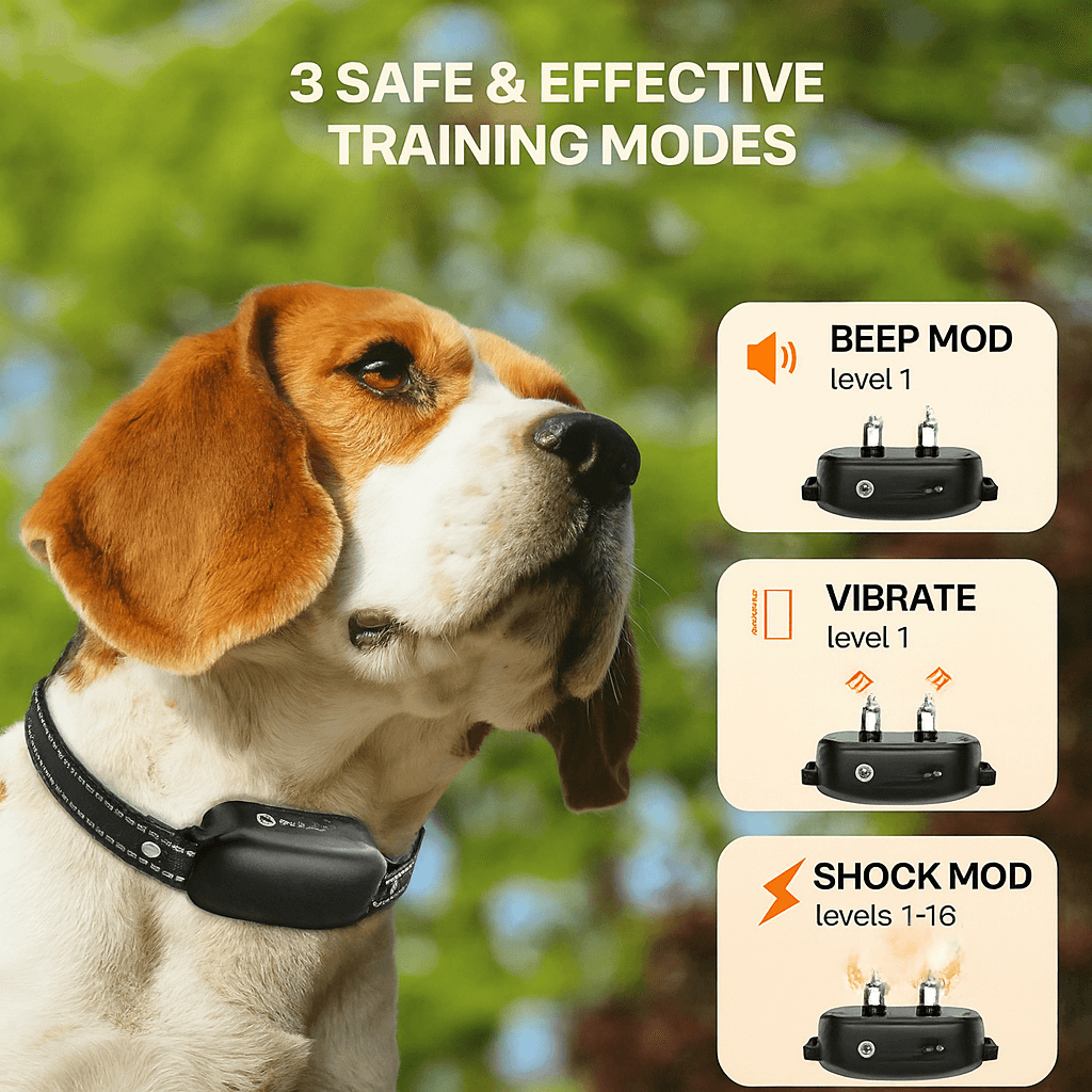 Dog Training Collar with Remote 1000m- Bricodil  BCD4721