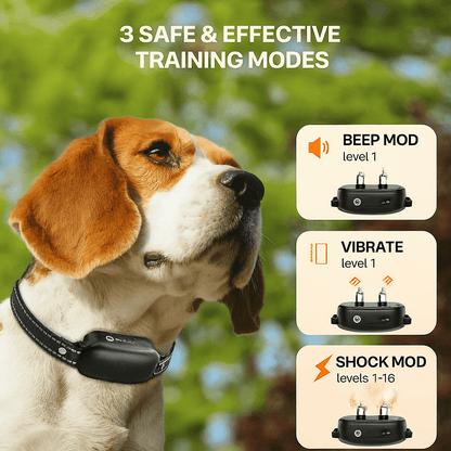 Dog Training Collar with Remote 1000m- Bricodil  BCD4721