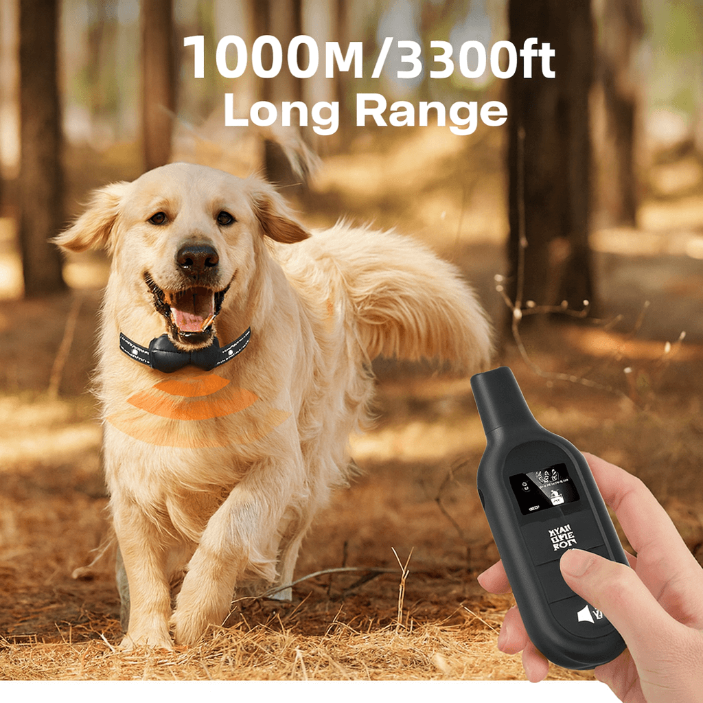 Dog Training Collar with Remote 1000m- Bricodil  BCD4721
