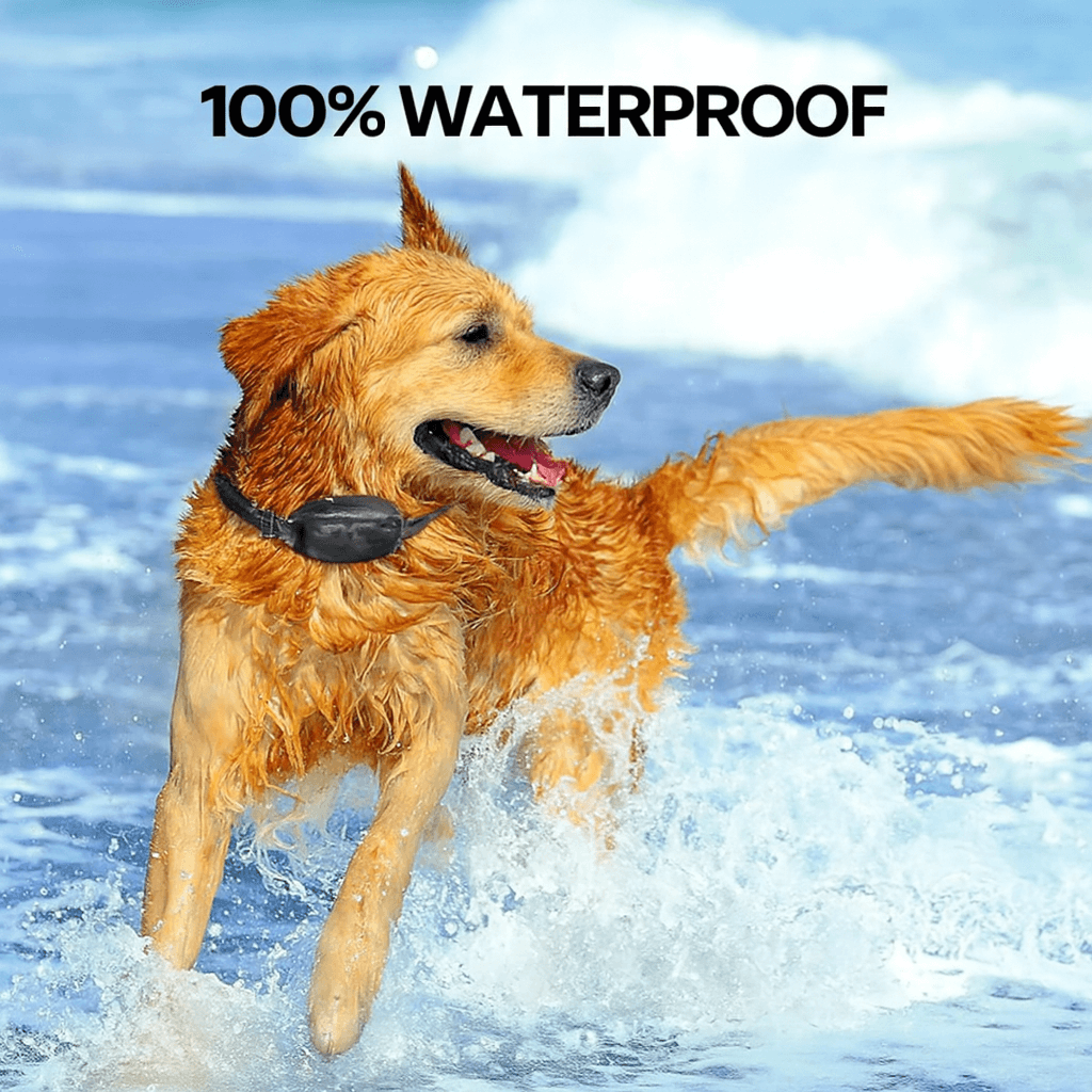 Dog Training Collar with Remote 1000m- Bricodil  BCD4721