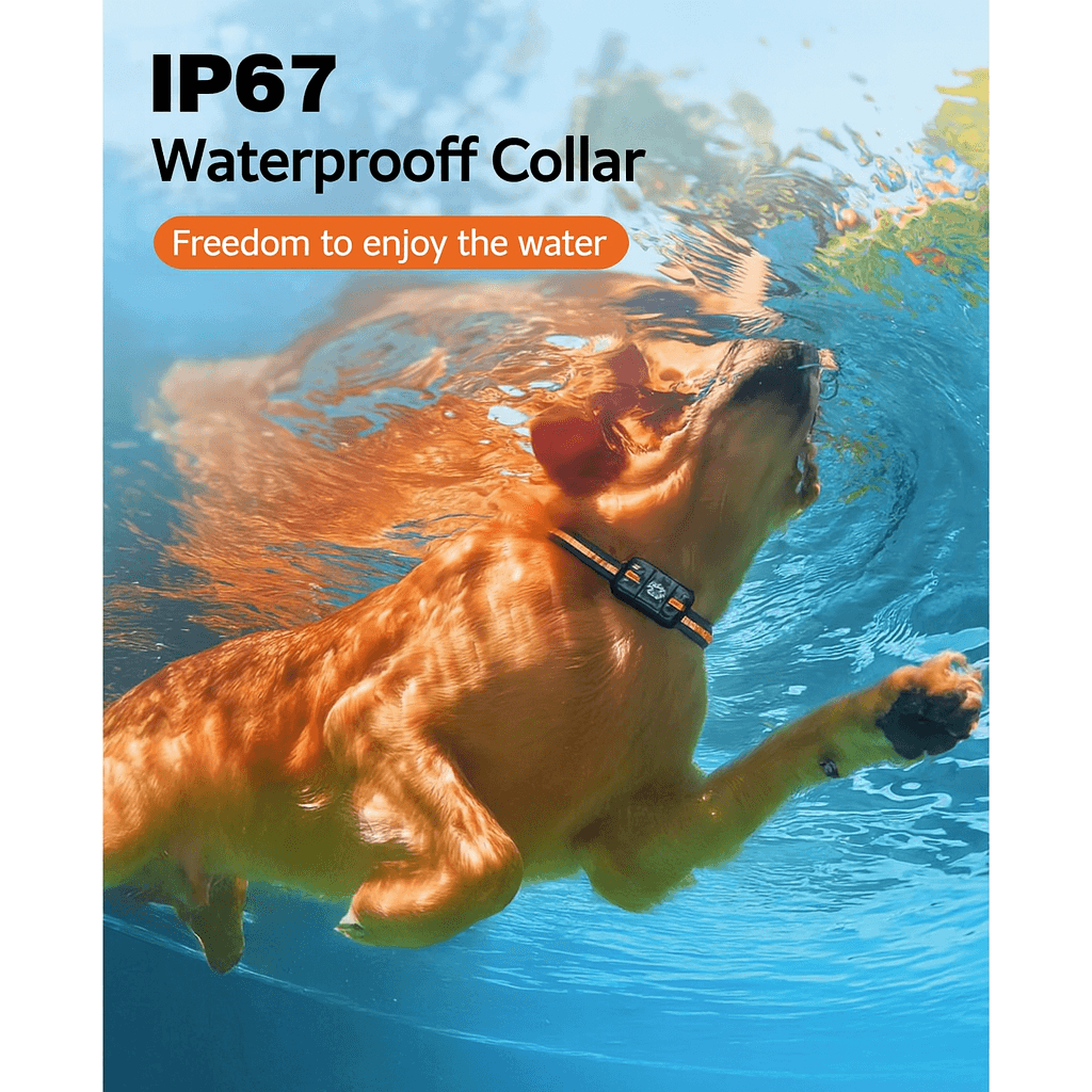 Bricodil Advanced Dog Training Collar – 2600m Remote | BCD7285