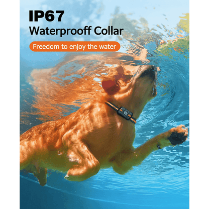 Bricodil Advanced Dog Training Collar – 2600m Remote | BCD7285