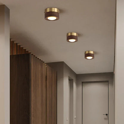 WoodAura – Modern Walnut LED Ceiling Spotlight