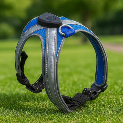 LumiPaw – Rechargeable Multicolour LED Dog Harness