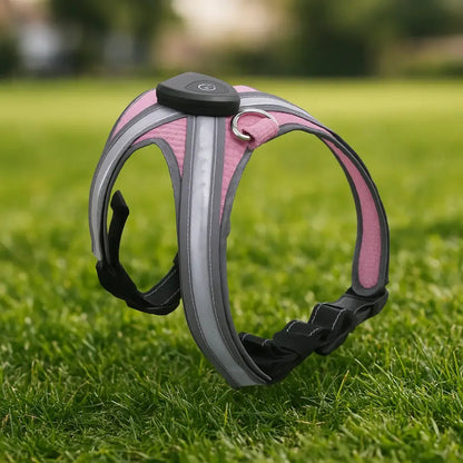 LumiPaw – Rechargeable Multicolour LED Dog Harness