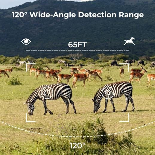 4G Solar Hunting Camera with 2K Video - Bricodil BCD4827
