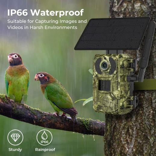 4G Solar Hunting Camera with 2K Video - Bricodil BCD4827