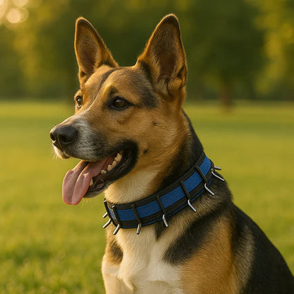 GripZen – No-Pull Adjustable Dog Training Collar with Comfort Control