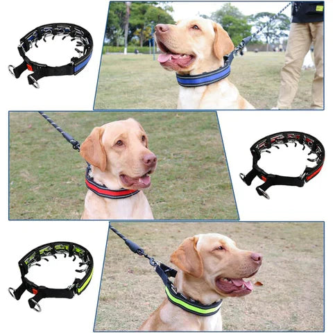GripZen – No-Pull Adjustable Dog Training Collar with Comfort Control