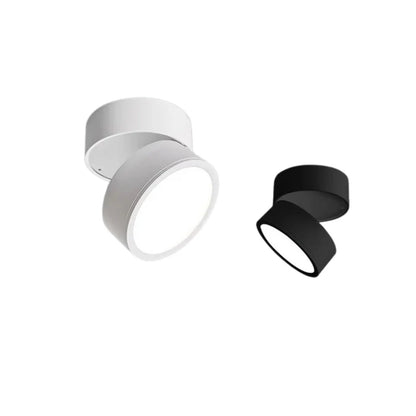 LumoFlex – Adjustable LED Ceiling Spotlight