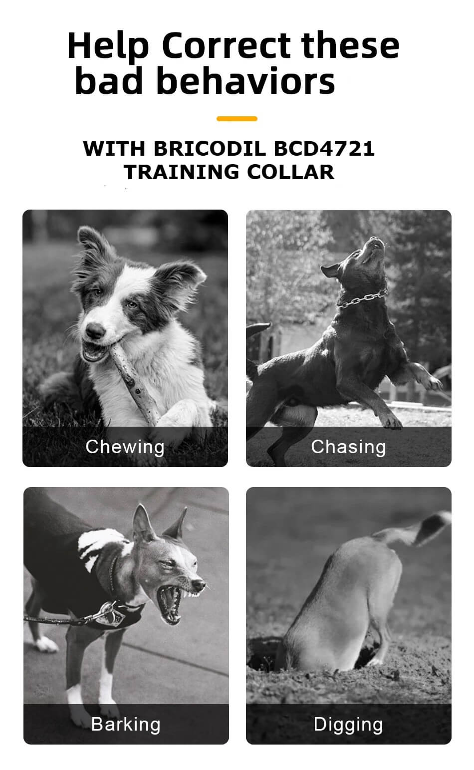 Dog Training Collar with Remote 1000m- Bricodil  BCD4721