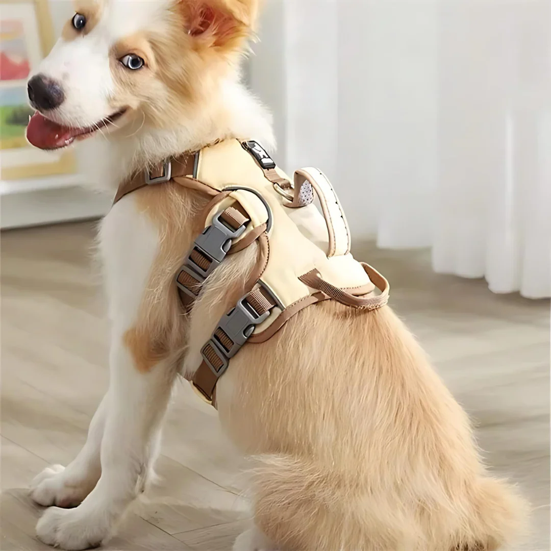 Stridex – Anti-Pull Reflective Dog Harness