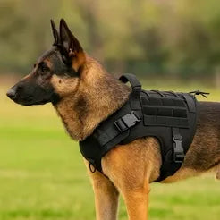 Bricodil – Tactical Dog Harness with Handle & MOLLE System