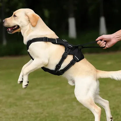 Stridera – Escape-Proof Adjustable Breathable Dog Harness