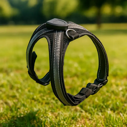 LumiPaw – Rechargeable Multicolour LED Dog Harness