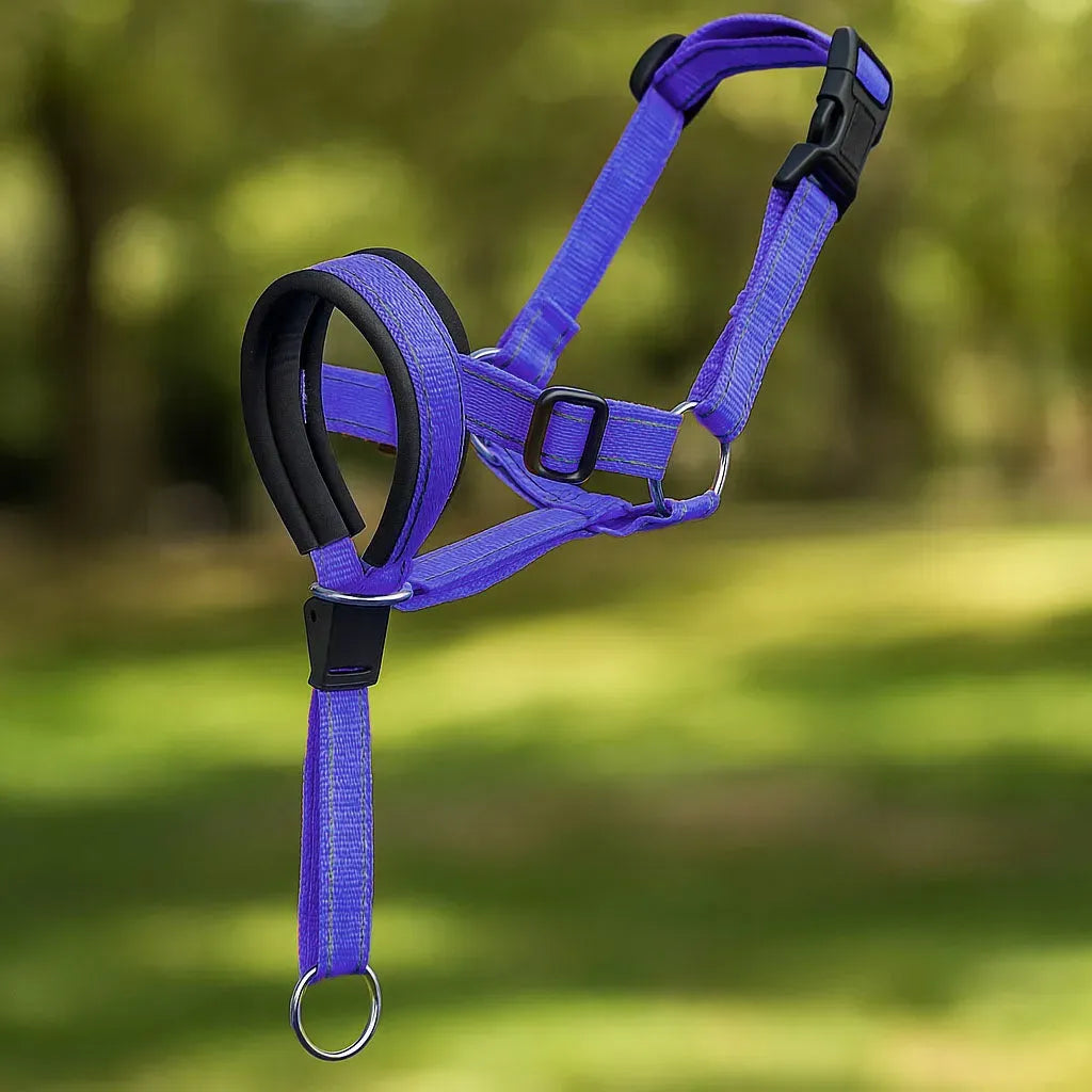 NexoLead – Adjustable Reflective Dog Head Halter