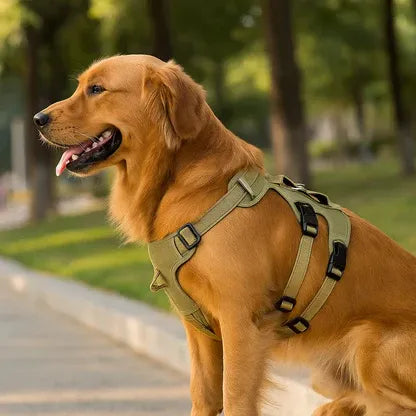 Stridera – Escape-Proof Adjustable Breathable Dog Harness
