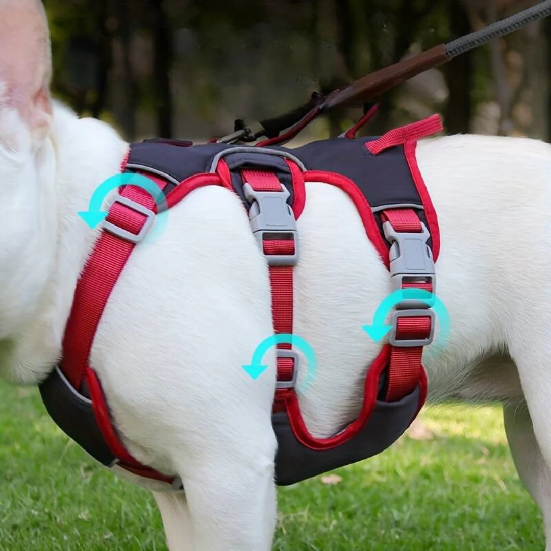 Stridex – Anti-Pull Reflective Dog Harness