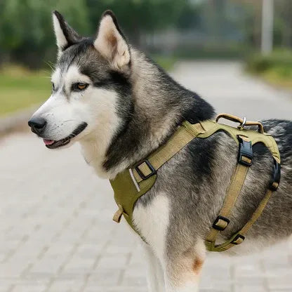 Stridera – Escape-Proof Adjustable Breathable Dog Harness