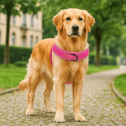 Veltrix – Reflective Anti-Pull Dog Harness with Adjustable Fit