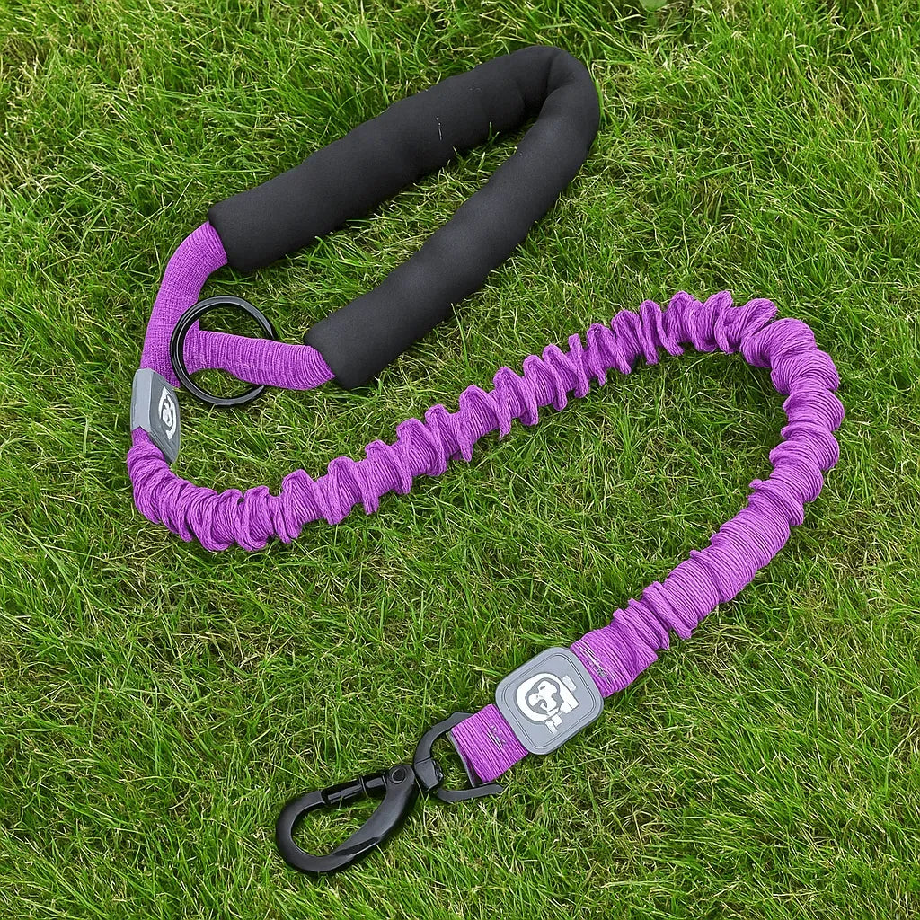 Dynapaw – Shock Absorbing Elastic Dog Lead with Padded Handle
