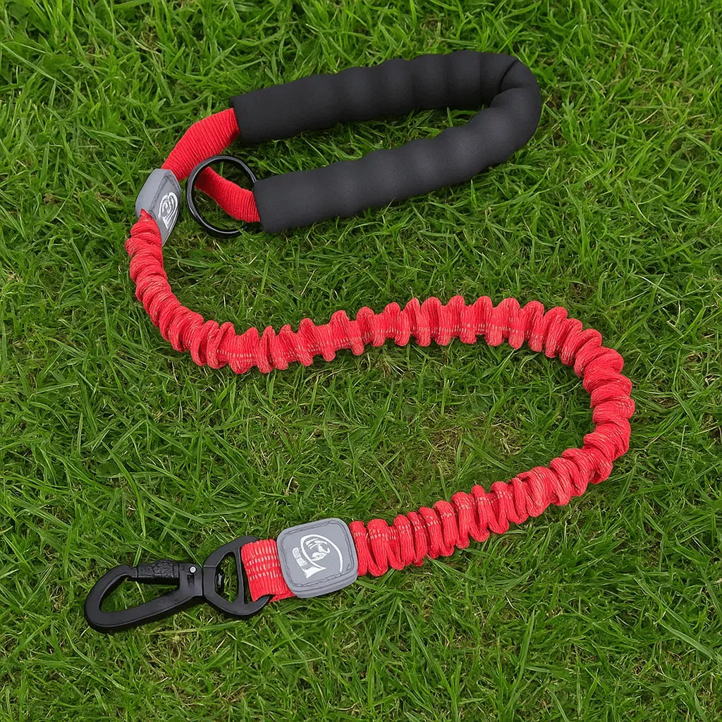 Dynapaw – Shock Absorbing Elastic Dog Lead with Padded Handle