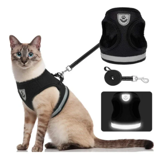 AeroPaw – Escape-Proof Breathable Cat Harness with Adjustable Fit & Leash