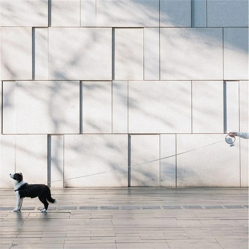 HaloPaw – LED Retractable Dog Leash