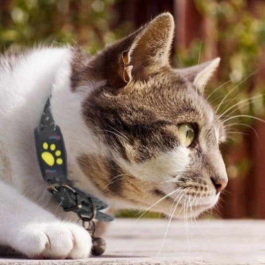 PawSentinel – Smart GPS Pet Tracking Collar
