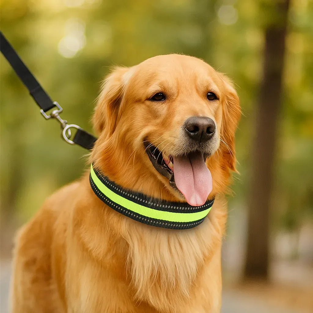 FlexiControl – No Pull Dog Training Collar with Gentle Pressure Control