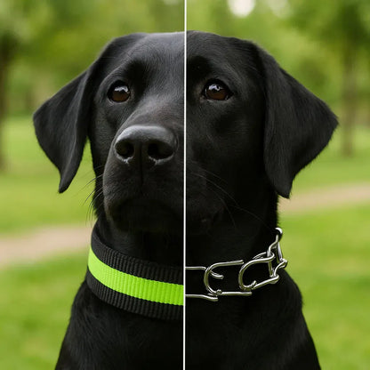 FlexiControl – No Pull Dog Training Collar with Gentle Pressure Control