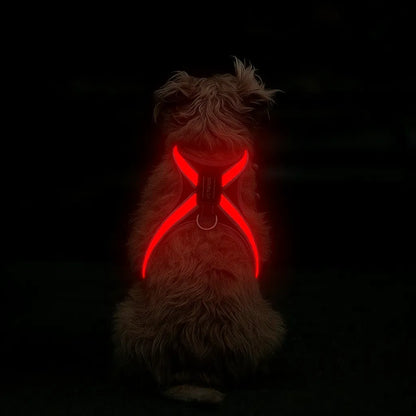 LumiPaw – Rechargeable Multicolour LED Dog Harness