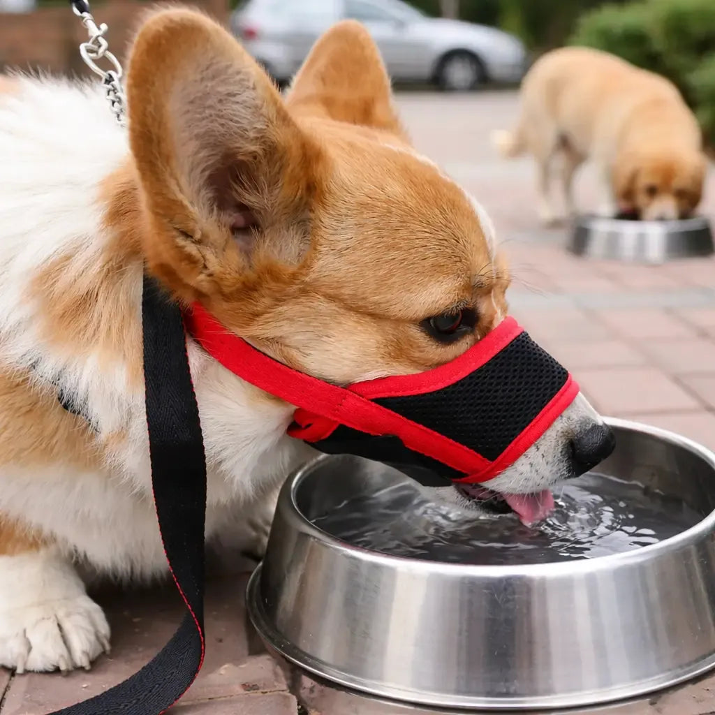 AeroMuzzle – Breathable Adjustable Dog Muzzle