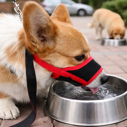 AeroMuzzle – Breathable Adjustable Dog Muzzle