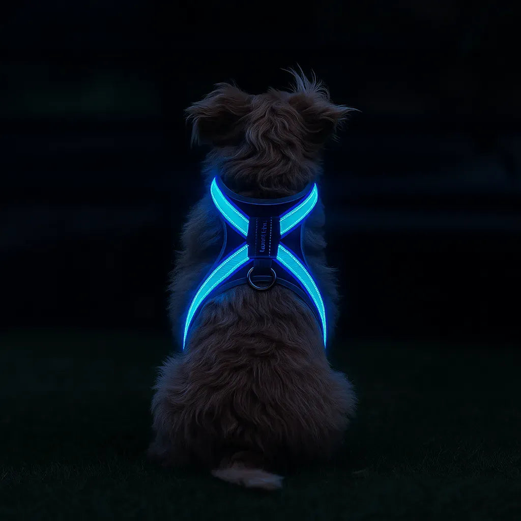 LumiPaw – Rechargeable Multicolour LED Dog Harness