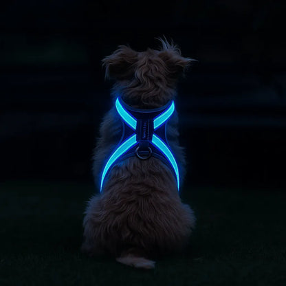 LumiPaw – Rechargeable Multicolour LED Dog Harness