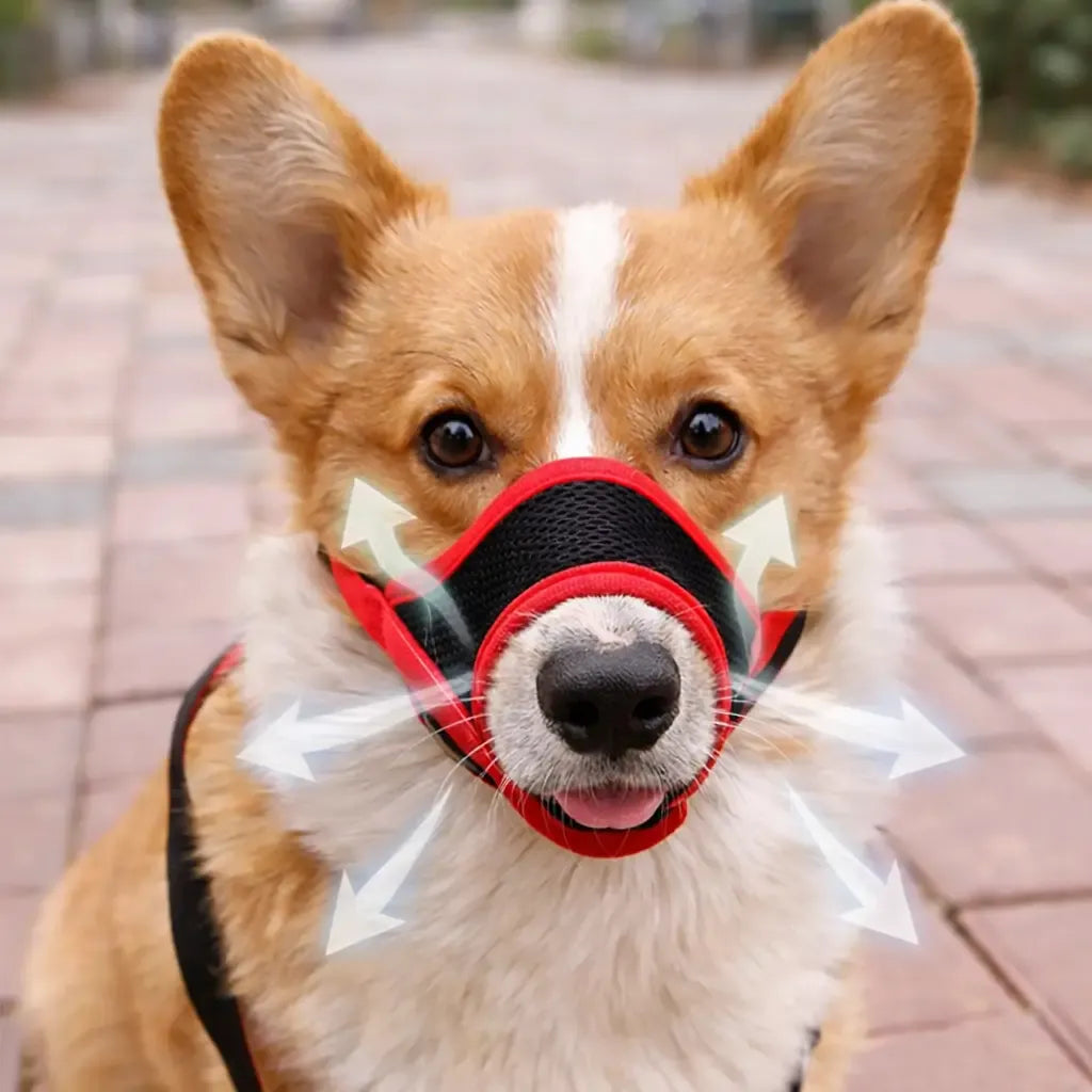 AeroMuzzle – Breathable Adjustable Dog Muzzle